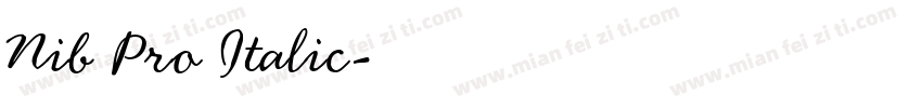 Nib Pro Italic字体转换